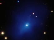 3C186 cúmulo galaxias precoz