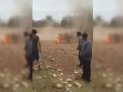 Auto formal prisión personas involucradas quema animal Santo Domingo