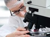 Descubierto “Santo Grial” investigación oncológica