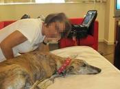 Historias adoptados.... Sofie