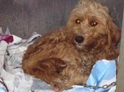 Acogida urgentísima Dios. Córdoba