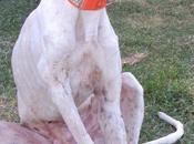 Jonas! mira eres guapo "joio"