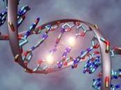 Eres padre come: dieta paterna afecta salud hepática hijos.