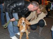 Historias adoptados.Brandon