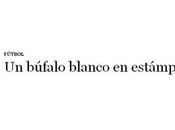 búfalo raro...