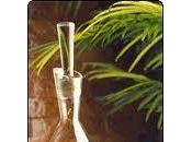 Naturoterapia