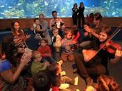 Música para bebés Oceanogràfic