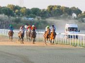 Éxito público deportivo carreras internacionales caballos árabes Hermanas