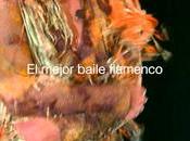 musical 'Las Minas Puerto Flamenco', Teatro Tarragona
