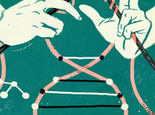 vuelta epigenética…