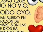 ¿Hay vida después muerte?