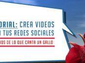 TUTORIAL: Crea videos para redes sociales menos canta gallo, Adobe Spark Video