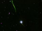 caso canibalismo estelar