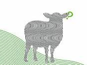 Librepensamiento. Cómo dejarse engañar. Alonso Barán