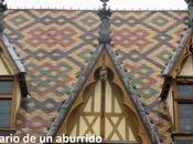 Hospicios Beaune Borgoña. Capítulo rutas Provenza Borgoña
