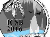 Representación española Congreso Internacional Biología Subterránea