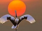 mejor escuela. juan goytisolo