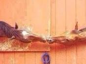 control nuestras vidas