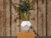 Plantas levitan aire