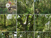 Corazón corazón siente.