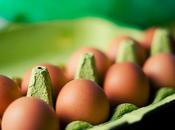 salmonelosis, pautas para prevenirla.