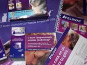 Preparados para experimento Feliway