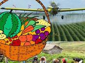 Agricultura ecológica examen