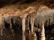 Mallorca Cuevas Drach Felanitx