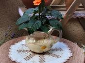 Amapola