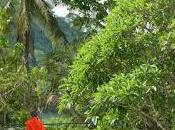 Luang Prabang, joya Laos