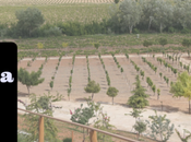 razones para elegir Cuenca próximas vacaciones