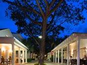 Celebrarán Puntacana Food Fest