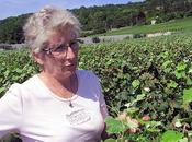 Françoise Bedel, Origin'elle, Extra-Brut