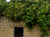 Entre susurros viento