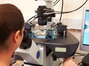 ¿Qué endocrinólogo especialista reproducción?