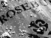 novedad frente electoral