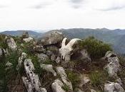 Ruta Peña Sobia Siella (1.514 desde Sobrevilla Canal Faya