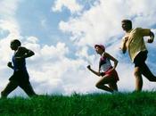 Programa ejecuta para principiantes