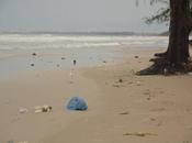 Sihanoukville, consejos practicos