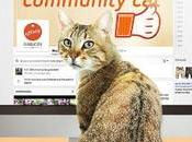 Fundación Affinity pone gato gestionar Facebook Mundial Redes Sociales