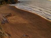 Playa surfera Arrietara