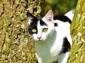 Definición semana: Esquema