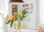 ideas para decorar plantas casa! ¿cual gusta más?