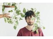 Alberto Montero, conciertos verano 2016