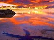 pierdas abandones esperanza...