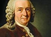 nombre plantas (parte