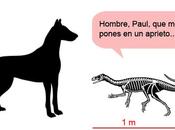 Tamaño Real: Eodromaeus doberman