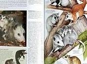Enciclopedia animales
