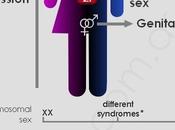 Human sexuality infographic