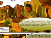 Trabajo esclavo: "Hoy hoy, ayer ayer..."